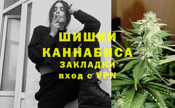 скорость Ладушкин